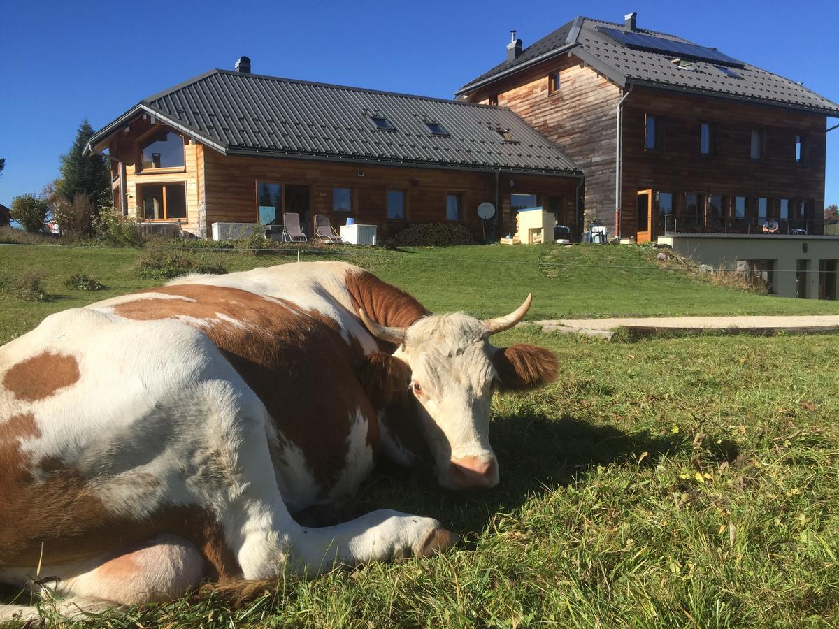 La Maison Des Inuits Hotell Septmoncel-Les-Molunes Exteriör bild